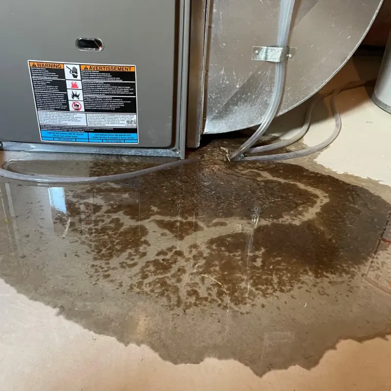 Appliance Leak Cleanup in Wise County, VA